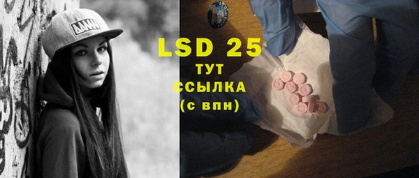 гашиш Богданович