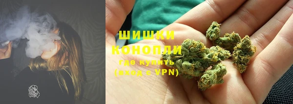 гашиш Богданович