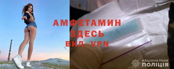гашиш Богданович