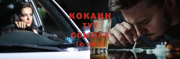 гашиш Богданович