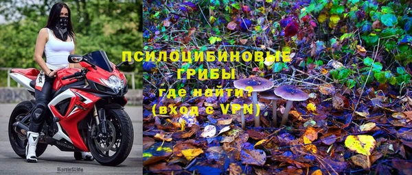 скорость Богородск