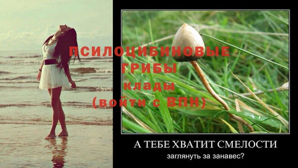 скорость Богородск