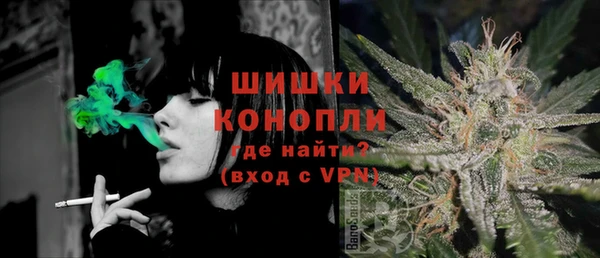 гашиш Богданович